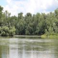 img 4682
