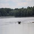 img 4678