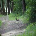 img 4691