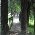 img 4699