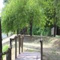 img 4701