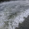 img 4741