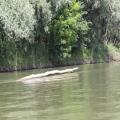 img 4753