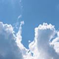 img 4757