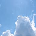img 4758