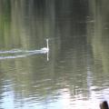 img 4776
