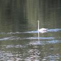 img 4777