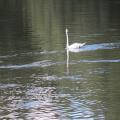 img 4778