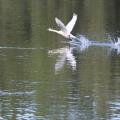 img 4779