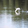 img 4780
