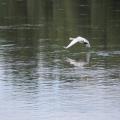 img 4781
