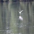 img 4782