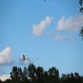 img 4783